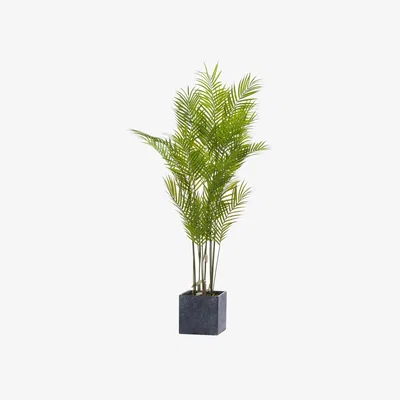 The Range Large Paradise Faux Palm In Minimalist Grey Pot - Green