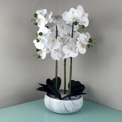 The Range Large Luxury Artificial Orchid in Ceramic Planter - White