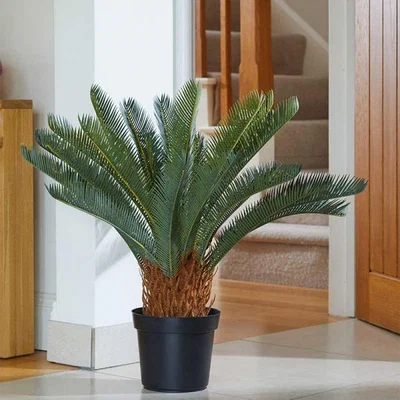 The Range Artificial Sago Palm Plant Potted  - Green,Brown,Black