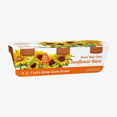 The Range Terracotta Sunflower Race