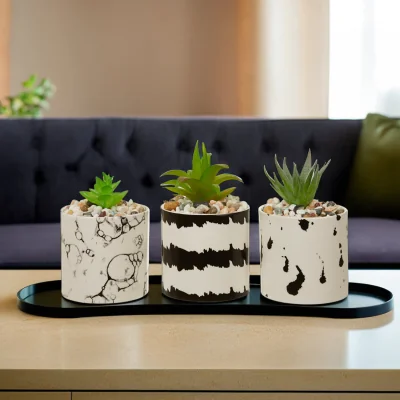 The Range Mimo Set of 3 White And Black Succulents - Black & White