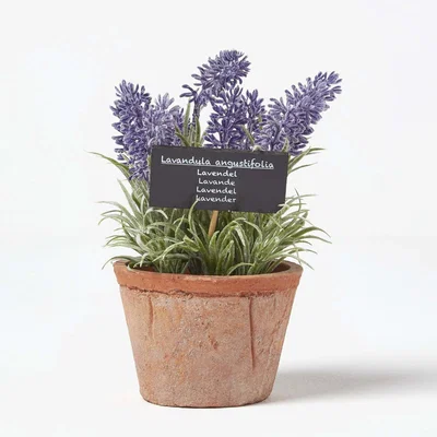 The Range Artificial Lavender Plant in Decorative Pot - Terracotta