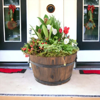 The Range Festive Wooden Barrel Planter 30cm - Outdoor Winter Mixed Plants Display - Mixed (Green, Red, Purple, White)