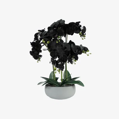 The Range Orchid Artificial Black - White Ceramic Planter - Black / White Planter