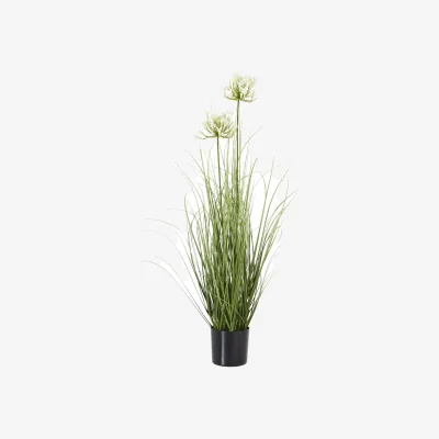 The Range Hill Interiors Agapanthus Plant Pot - White/Green