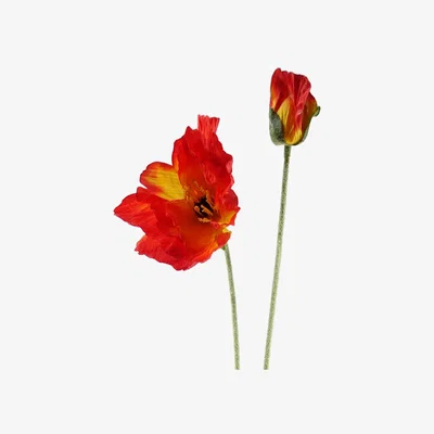 The Range 100cm Artificial Poppy Flower Stems  for Arrangement - Red