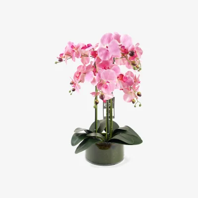 The Range Artificial Orchid with Glass Planter - Pink