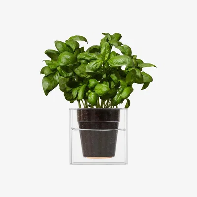 The Range Clear Transparent Small Cube Planter