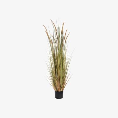 The Range Rustic Home Accent Field Grass Pot 60 Inch - Green