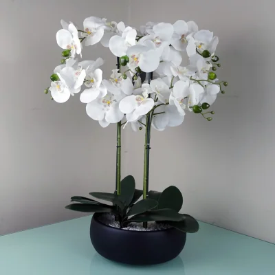 The Range Large Luxury Artificial Orchid in Ceramic Planter - White