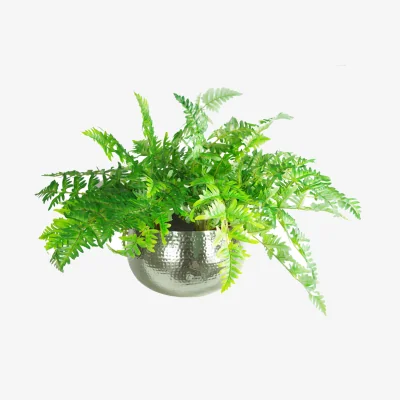 The Range Large Artificial Ferns Display with XL Metal Silver Bowl Planter - Green