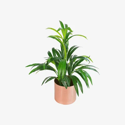 The Range Artificial Bamboo Leaf Shrub with Brushed Copper Planter - Green