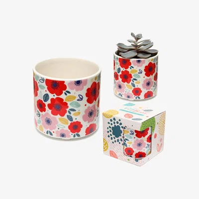 The Range Ceramic Indoor Planter Plant Pot - Poppy Fields Pick of the Bunch - Red