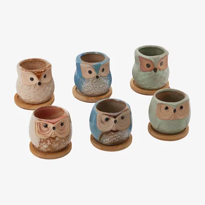 The Range Set of 6 Mini Ceramic Owl Succulents Plant Pot with Plant Saucers - Mulit-Color
