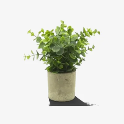 The Range Best Teacher Faux Eucalyptus Plant Pot - Green