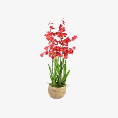 The Range Oncidium Artificial Orchid Red in Stoneware Planter - Red