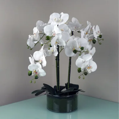 The Range 50cm Artificial Orchid with White Glass Planter - White