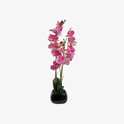 The Range Artificial Orchid in Ceramic Planter - Light Pink Black Ceramic Planter / 30cm