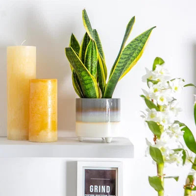 The Range 14cm Reactive Glaze Footed Plant Pot - Grey