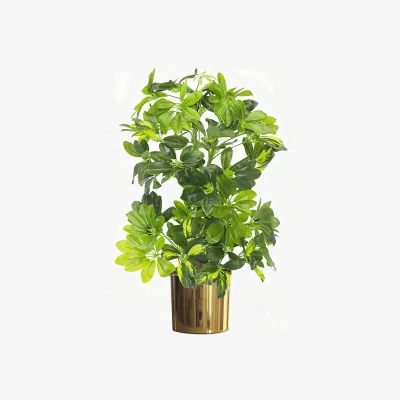 The Range 75cm Golden Capella Plant with Metal Planter - Green
