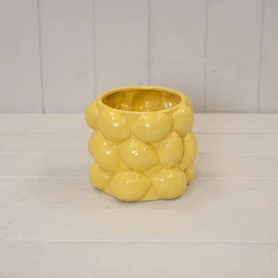 The Range Rustic Zesty Lemon 3D Pot Plant pot - Yellow