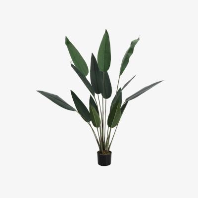 The Range 140cm Artificial Tall Strelitzia Decorative Plant in Planter - Green