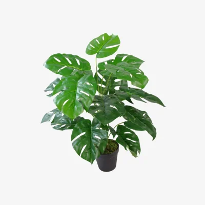 The Range Artificial Monstera Plant Potted Indoor Home Decor - Green