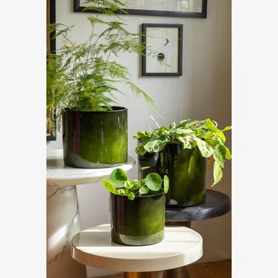 Rockett St George Vibrant Green Upcycled Steel Plant Pot - Available in 3 Sizes
