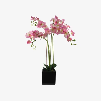 The Range Artificial Orchid with Ceramic Planter - Pink / 70cm