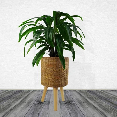 The Range Rattan Effect Composite Planter with Stand - Rattan fibreglass composite