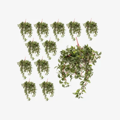The Range Pack of 12 x UV Resistant Artificial Mini Foliage Spray - 12x 70cm UV Foliage Spray