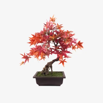 The Range Pegdev 50cm Red Maple Bonsai Tree with Decorative Planter