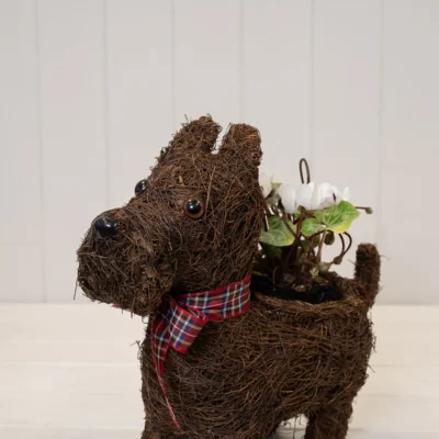 The Range Brown Scottie Dog Planter with Tartan Ribbon - Dark Brown