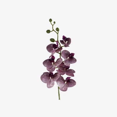 The Range Artificial Phalaenopsis Orchid Purple Stem - 100cm Purple Orchid