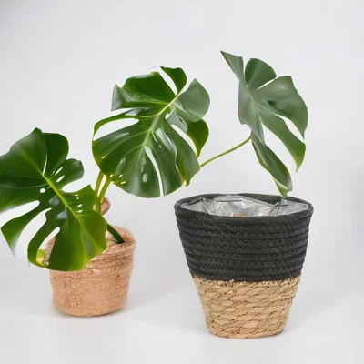 The Range Two Tone Seagrass Planter Basket - Black and Natural / 19cm