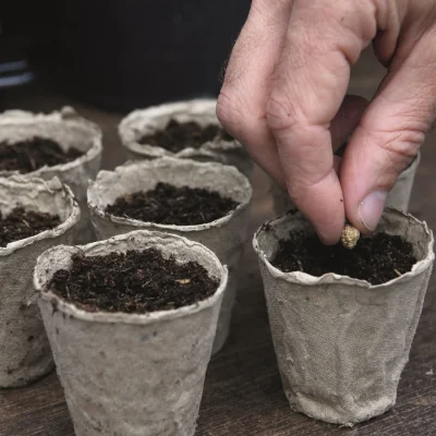 The Range Biodegradable Plant Fibre Seed Pots - Grey / 144