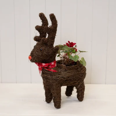The Range Brown Standing Reindeer Planter with Christmas Scarf - Dark Brown