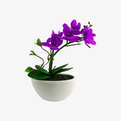 The Range Purple Artificial Orchid in White Ceramic Display Planter - Purple