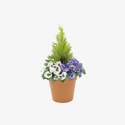 The Range Artificial Purple and White Pansies in Terracotta Pot Patio Planter - Purple and White