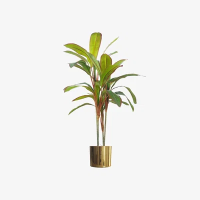 The Range 100cm Artificial Dracaena with Metal Planter - Green