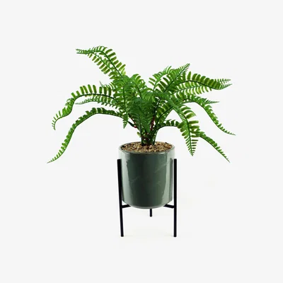 The Range Artificial Fern with Ceramic Planter  Stand - Fern Ceramic Planter & Stand