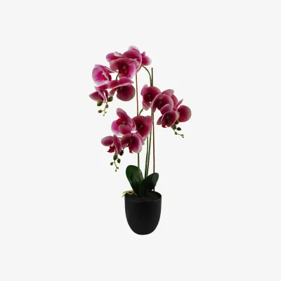 The Range Artificial Orchid with Ceramic Planter - Green / 40cm
