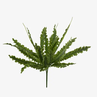 The Range 40cm Artificial Crocodile Fern Plant - 40cm Artificial Crocodile Fern Plant