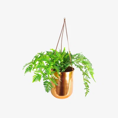 The Range Hanging Copper Planter with Artificial Evergreen Fern Plant - Green