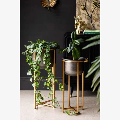 Rockett St George Set of 2 Black Planters With Gold Stand