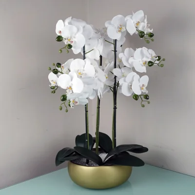 The Range Large Luxury Artificial Orchid in Ceramic Planter - White
