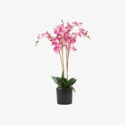 The Range Artificial Orchid Plant Potted Indoor Floral Decor - Light Pink