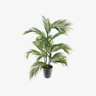 The Range Artificial Palm Tree in Decorative Planter - Palm Tree Decorative Planter