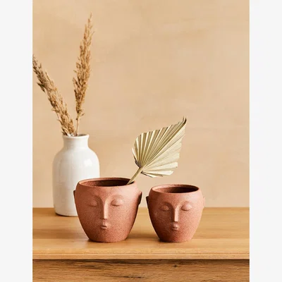 Rose & Grey Terracotta Face Plant Pot - Two Sizes Available