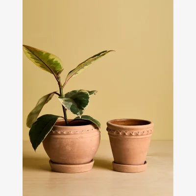Rose & Grey Siena Plant pots - set of 2